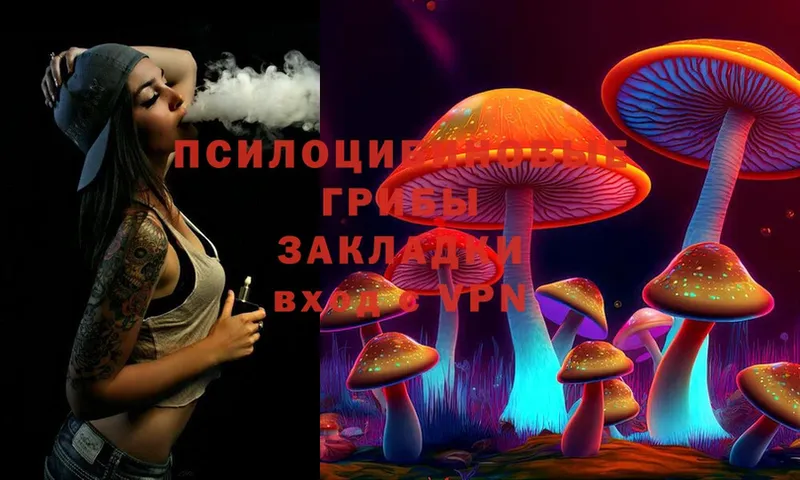 МЕГА рабочий сайт  Выборг  Галлюциногенные грибы Psilocybine cubensis 